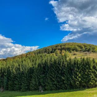 Dome Home Tents Taor Valjevo Exterior photo